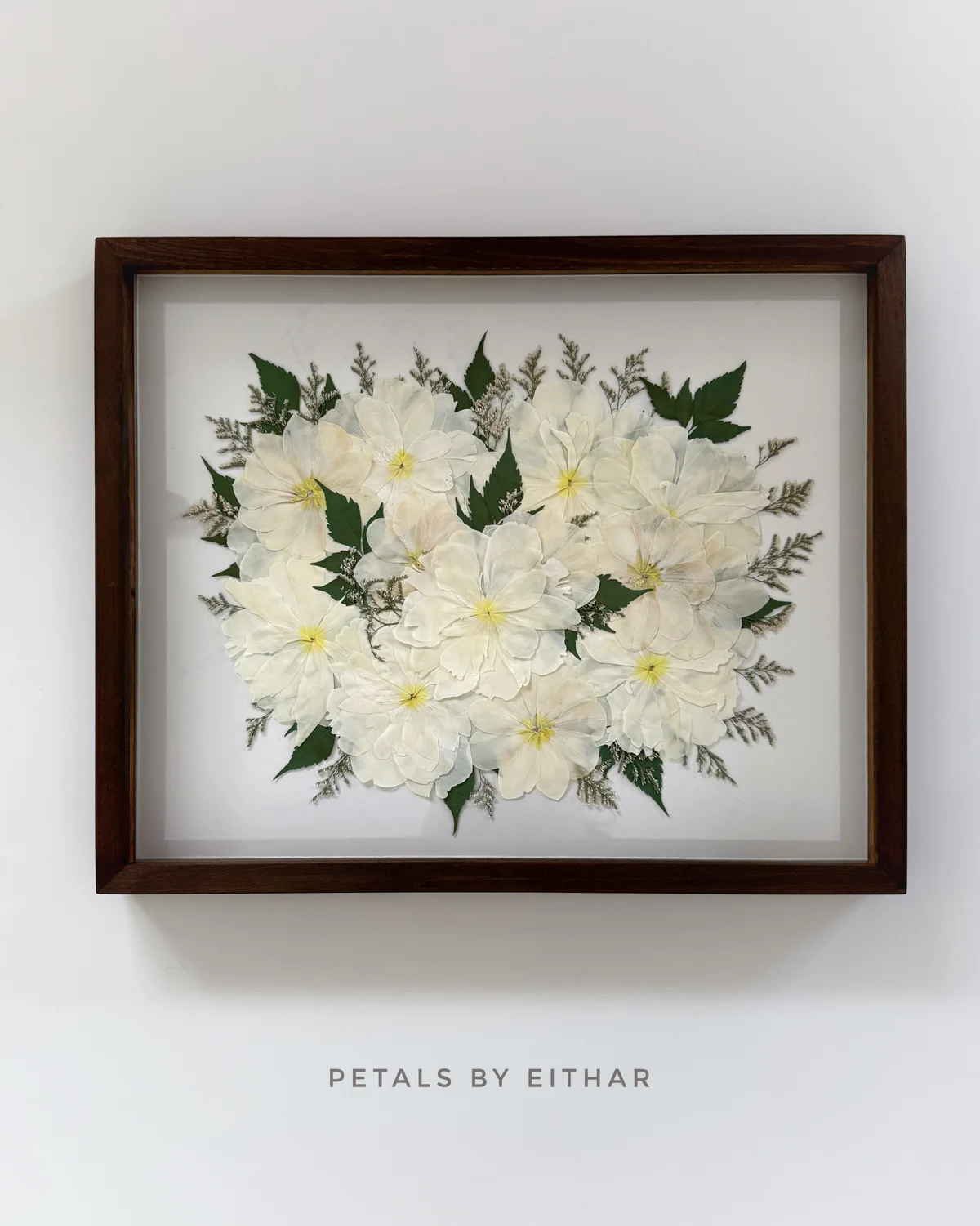 Preserved white peonies